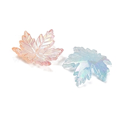 Transparent Acrylic Pendants&nbsp;AC-CBA5040-06