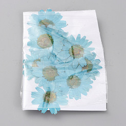 Pressed Dried Flowers&nbsp;DIY-WH0308-412B-1