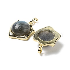 Natural Labradorite Pendants&nbsp;G-G069-01G-06
