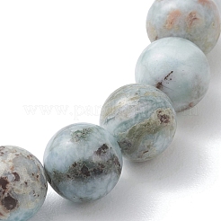 Natural Larimar Round Beads Stretch Bracelets for Women Men&nbsp;BJEW-JB13382-01