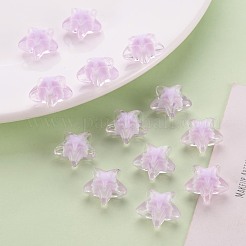 Transparent Acrylic Beads&nbsp;TACR-S152-11A-09