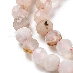 Natural Cherry Blossom Agate Beads Strands&nbsp;G-K380-A43-01