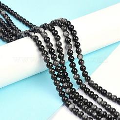 Natural Silver Obsidian Beads Strands&nbsp;G-D083-01D