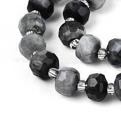 Natural Eagle Eye Stone Beads Strands&nbsp;G-T144-A01-03
