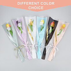 120Pcs 6 Colors OPP Gift Bags&nbsp;ABAG-NB0001-34