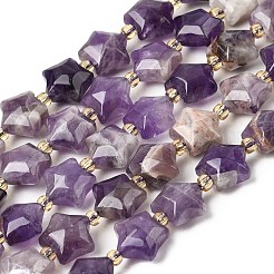 Natural Amethyst Beads Strands&nbsp;G-Z080-A34-10mm