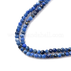 Natural Lapis Lazuli Beads Strands&nbsp;G-RM250104-D8