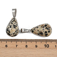 Natural Dalmatian Jasper Pendants&nbsp;G-S364-072P-02