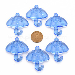Transparent Acrylic Pendants&nbsp;TACR-T024-01B-940