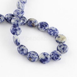 Natural Blue Spot Jasper Bead Strands&nbsp;G-R189-04