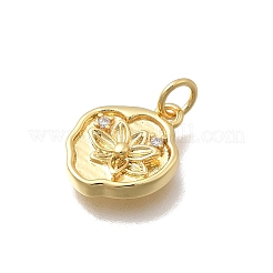 Brass Micro Pave Cubic Zirconia Charms&nbsp;KK-D431-047G-02