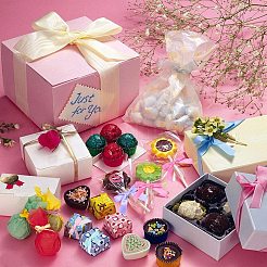 80Pcs 4 Colors Polyester Packaging Ribbon Bows&nbsp;AJEW-GF0003-17