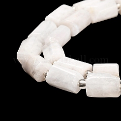 Natural Rainbow Moonstone Beads Strands&nbsp;G-G068-A43-01