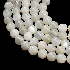 Natural White Moonstone Beads Strands&nbsp;G-L664-A01-8mm-A