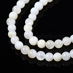 Natural Freshwater Shell Beads Strands&nbsp;X-BSHE-T009A-01A