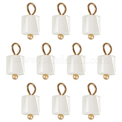 10Pcs Natural Shell Column Charms&nbsp;SHEL-TA0001-38