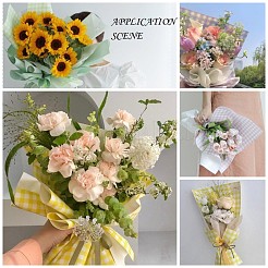 Waterproof Gift & Flower Wrapping Paper&nbsp;DIY-G038-01E