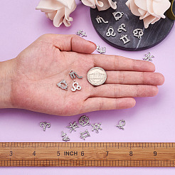 Zinc Alloy Pendants&nbsp;ALRI-FW0001-03P