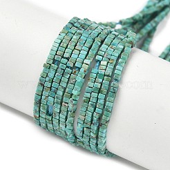Natural HuBei Turquoise Beads Strands&nbsp;G-G271-G05-1x1.5mm
