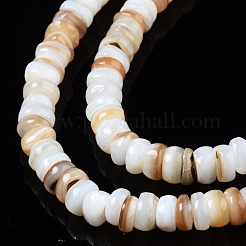 Natural Freshwater Shell Beads Strands&nbsp;SHEL-T018-28