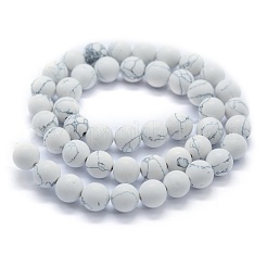 Synthetic Turquoise Beads Strands&nbsp;G-P387-02-10mm