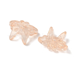 Glass Beads&nbsp;GLAA-C039-01C