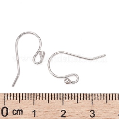 Anti-Tarnish Rhodium Plated 925 Sterling Silver Earring Hooks&nbsp;STER-I005-49P