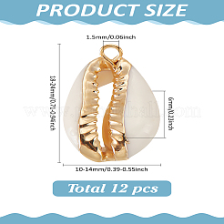 12Pcs Electroplate Cowrie Shell Pendants&nbsp;SHEL-LP0001-05
