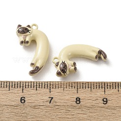 Baking Paint Zinc Alloy Pendants&nbsp;AL-CBAEA91-03A