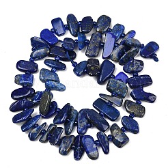 Natural Lapis Lazuli Beads Strands&nbsp;G-L657-E01-01