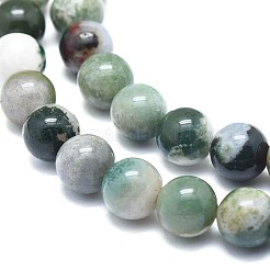 Natural Tree Agate Beads Strands&nbsp;G-F674-11-8mm