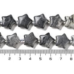 Natural Black Silk Stone/Netstone Beads Strands&nbsp;G-NH0005-009