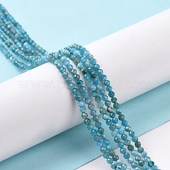 Natural Apatite Beads Strands&nbsp;G-E411-36-2mm-01
