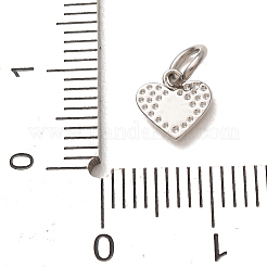 304 Stainless Steel Charms&nbsp;SA-CBAB6EC-23P