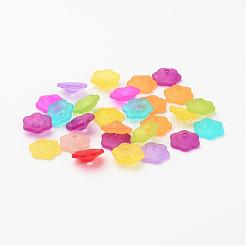 Mixed Frosted Flower Shaped Transparent Acrylic Bead Caps&nbsp;X-PAF087Y