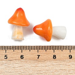 Mushroom Themes Resin Display Decorations&nbsp;DJEW-S002-01A