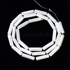 Natural Trochid Shell/Trochus Shell Beads Strands&nbsp;SSHEL-S266-020A-03