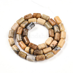 Natural Yellow Opal Beads Strands&nbsp;G-N346-01B-08