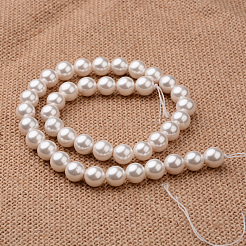 Polished Round Grade A Shell Pearl Bead Strands&nbsp;X-BSHE-M027-10mm-28