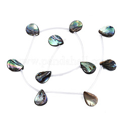 Natural Abalone Shell/Paua Shell Beads Strands&nbsp;SSHEL-N034-160B-01