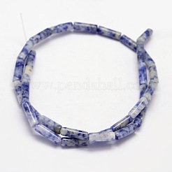 Natural Blue Spot Jasper Column Beads Strands&nbsp;G-F247-02