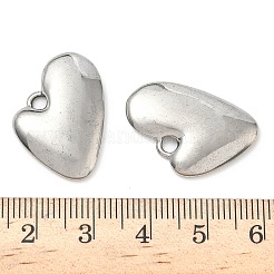 304 Stainless Steel Pendants&nbsp;STAS-K267-15A-P