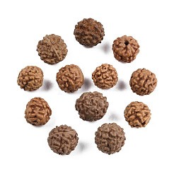 Undyed Natural Rudraksha Beads&nbsp;WOOD-T030-01