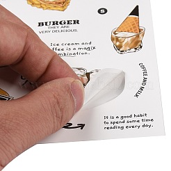 PET Tags
 Picture Stickers&nbsp;LS-AJEW-R098-02C