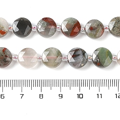Natural Bloodstone Bead Strands&nbsp;G-C116-A06-01