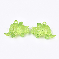Transparent Acrylic Pendants&nbsp;TACR-S133-112