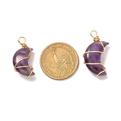 Natural Amethyst Pendants&nbsp;PALLOY-JF00931-01
