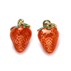 Brass Enamel Charms&nbsp;KK-B028-13G-01