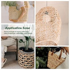 Raffia Ribbon&nbsp;SENE-PW0003-104K