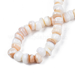 Natural Trochid Shell/Trochus Shell Beads Strands&nbsp;SHEL-S258-081-A01